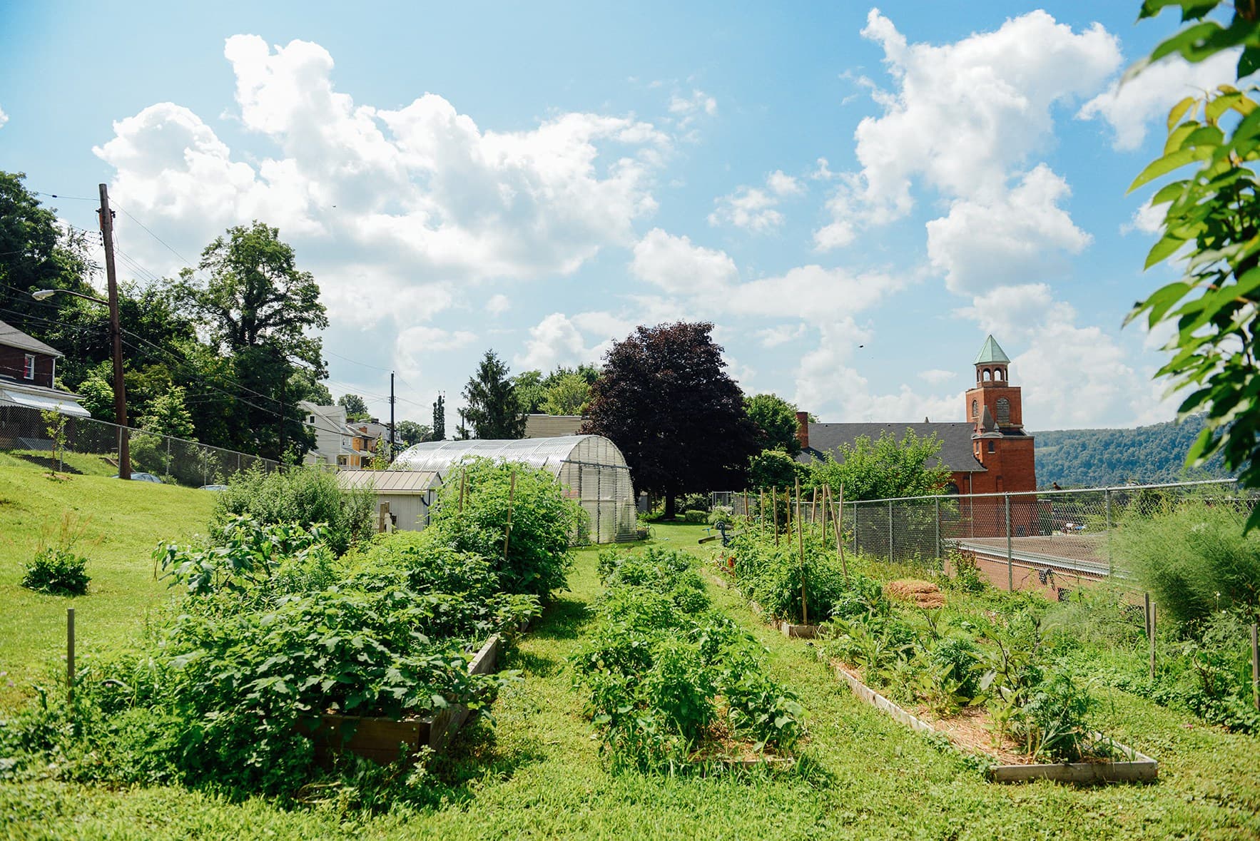 Community garden in Greater Hazelwood